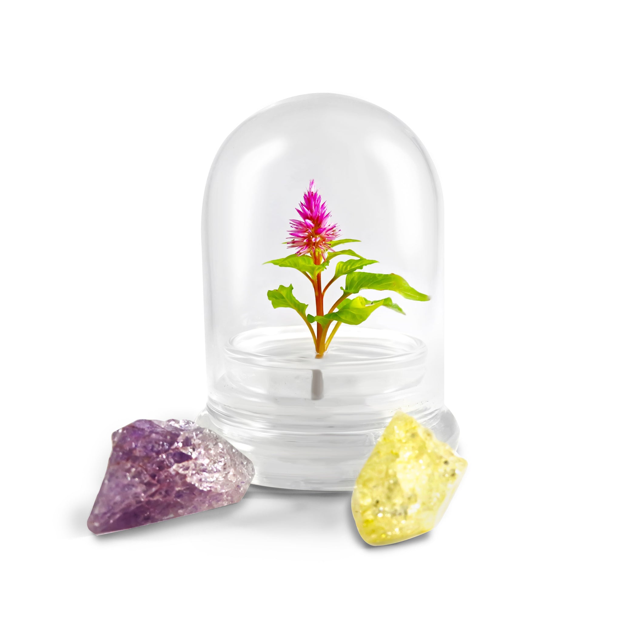 Glass Middle Dome – 2.5 x 2.5 x 3.2 Inches – Premium Anti-… view 5