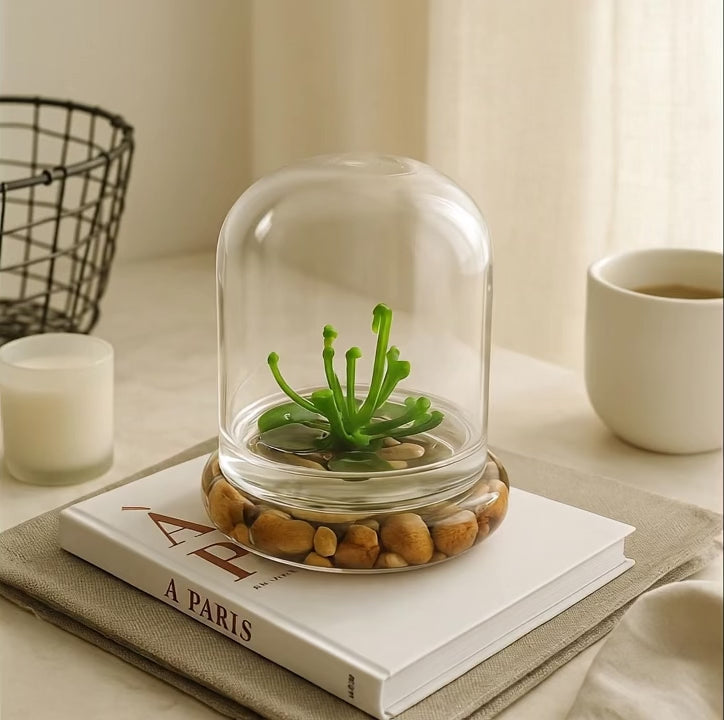 Terrarium Cobra Lily–Carnivorous Live Pitcher Plant– Self-… view 2