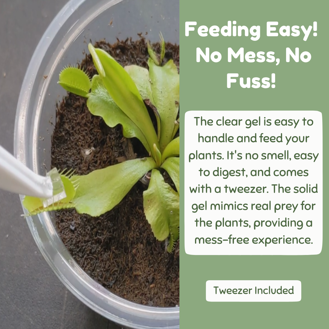 Carnivorous Plant Food view 9
