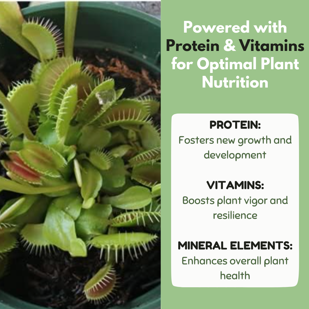 Carnivorous Plant Food view 10