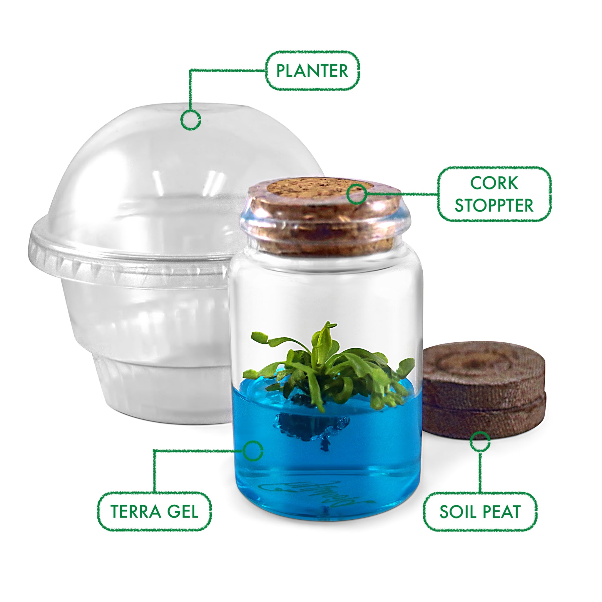 Venus Flytrap Terrarium DIY Kit